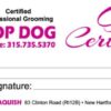 thumbnail of Top Dog-Gift Certificates